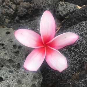 Meet your Posher, Reka